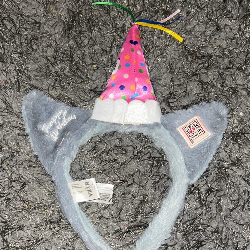 Colorful Polka Dot Birthday Hat with Ears